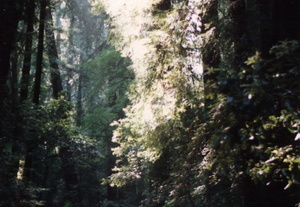 diane and peter muir woods 1988 02