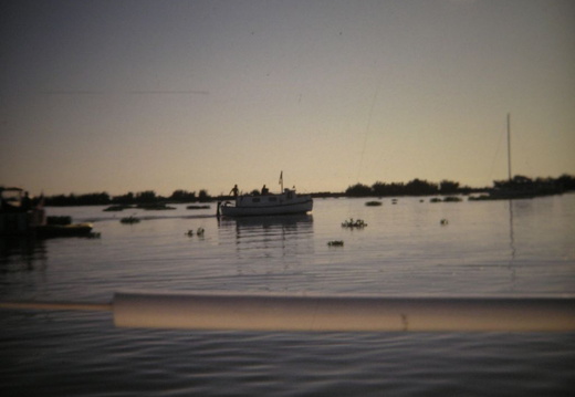 stockton delta sailing 12
