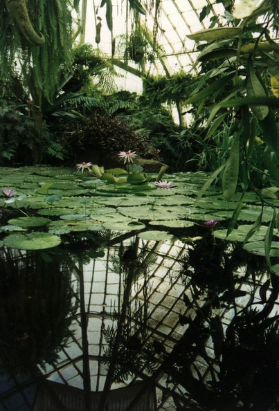 sf_conservatory_of_flowers_1994_029.jpg