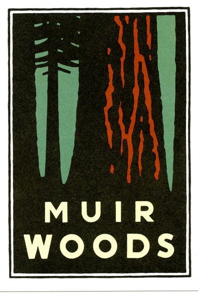muir_woods_national_park_postcard.jpg