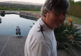 Alligator Lizard 2006 001