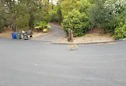 Bobcats Ridge Dr 20200824 01