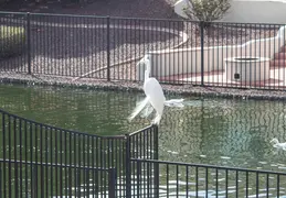 Crane Chandler 20230302 01