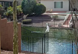 Crane Chandler 20230302 02