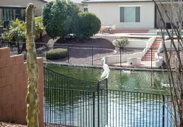 Crane Chandler 20230302 03