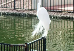 Crane Chandler 20230302 04