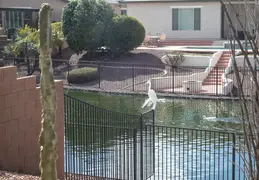 Crane Chandler 20230302 05