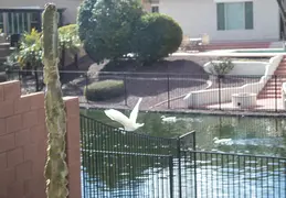 Crane Chandler 20230302 06