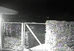 Fox Visiting 201403140