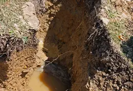 Gopher No4 20100717 0004