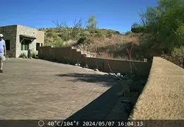 Javelina 20240507 01