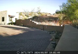 Javelina 20240507 05