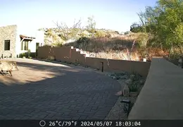 Javelina 20240507 06