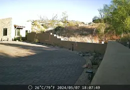 Javelina 20240507 10