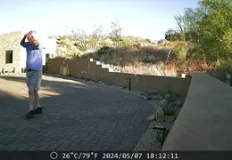 Javelina 20240507 11