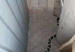 King Snake 20230627 05