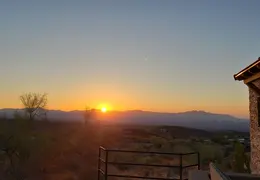 King Snake 20230627 08