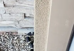 King Snake 20230627 28