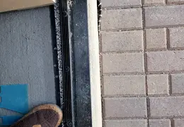 King Snake 20230627 30