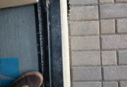 King Snake 20230627 31