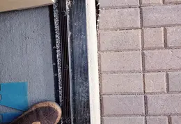 King Snake 20230627 33