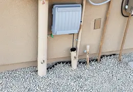 King Snake 20230627 36