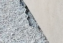 King Snake 20230627 38