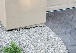 King Snake 20230627 39