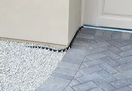 King Snake 20230627 40