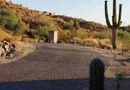 King Snake 20230627 42