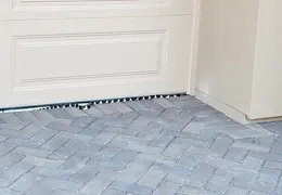 King Snake 20230627 45