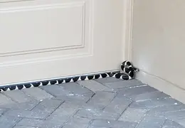 King Snake 20230627 47