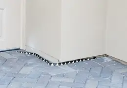 King Snake 20230627 48