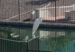 Lagos Vistoso Wildlife Day 20220302 04