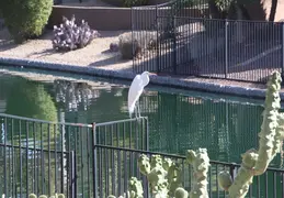 Lagos Vistoso Wildlife Day 20220302 05