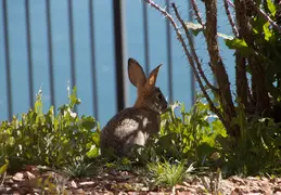 Lagos Vistoso Wildlife Day 20220302 16