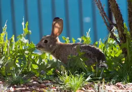 Lagos Vistoso Wildlife Day 20220302 24