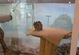 Lindsay Museum 2005 001