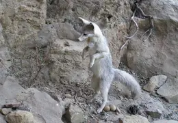 Lindsay Museum 2005 005