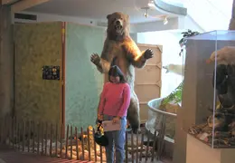 Lindsay Museum 2005 006