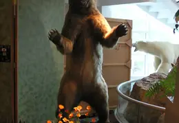 Lindsay Museum 2005 007