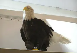 Lindsay Museum 2005 011