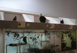 Lindsay Museum 2005 012