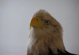 Lindsay Museum 2005 014