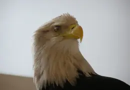 Lindsay Museum 2005 015