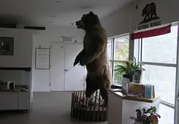 Lindsay Museum 2005 018