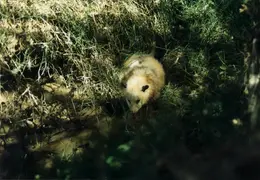 Lindsay Photo Shoot 001