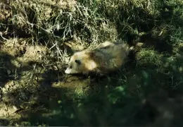 Lindsay Photo Shoot 002