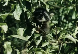 Lindsay Photo Shoot 003