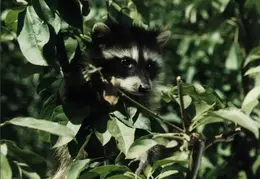 Lindsay Photo Shoot 004